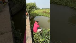 The village fisherman caught a big monster fish from the roadside canal fishvideo shorts fishing [upl. by Greabe]