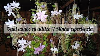 Orquídeas saudáveis Qual adubo e qual veneno para pragas eu ultilizo e minha experiência [upl. by Alleynad691]