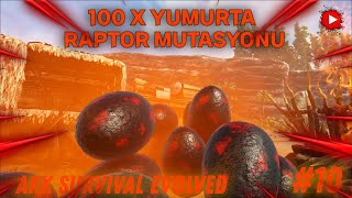 100 Yumurta İle Raptor Mutasyonu Yaptım   ARK Survival Evolved  PC Ark 10 [upl. by Akemeuwkuhc]