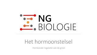 Het hormoonstelsel  hormonale regulatie van de groei  HAVOVWO [upl. by Sabella629]