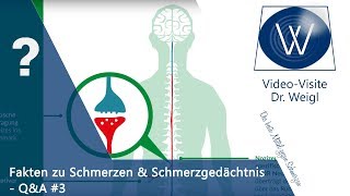 Chronischer Schmerz das Schmerzgedächtnis psychosomatische Schmerzen amp Schmerztherapie ☎QampA 3👥 [upl. by Notsnorb]