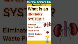 What is urinary system  Urinary system anatomy and physiology Functions of urinary system short [upl. by Picker]