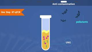 One Step RTqPCR [upl. by Joelle]