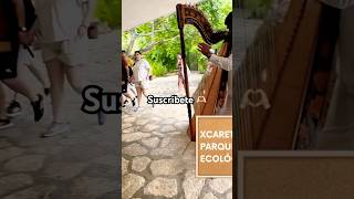 Mira como nos recibieron en el Paraque Xcaret  Playa del Carmen 🇲🇽 short [upl. by Safier776]