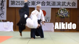 Aikido Doshu Ueshiba Moriteru Sensei [upl. by Quartus990]