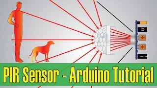 How PIR Sensor Works and How To Use It with Arduino [upl. by Uziel]