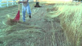 MowerZilla2 the walkbehind sickle bar mower after cutting hay [upl. by Milon]