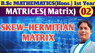 Skew Hermitian Matrix। BSc Maths Honours 1St year। Newton Coaching Centre [upl. by Lehcim696]