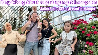 BANYAK BUAH SURGA TANGAN GATEL PENGEN PANEN  JALAN2 KE GARDEN BY THE BAY CANTIK BANGET [upl. by Bravin]