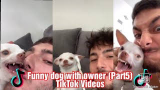 Funniest Reactions from Angry Dog😡 Part 5 [upl. by Kipton]