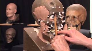 The Science and Art of The Facial Reconstruction Process [upl. by Lledrac]