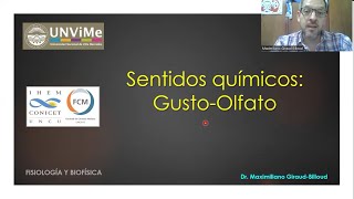 Fisiología neurológica Sentidos químicos [upl. by Yuma]