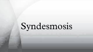 Syndesmosis [upl. by Venita]