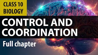 controlandcoordination full chapter  cbse Biology  NCERT class 10 science chapter 7 [upl. by Christoffer]