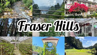 Fraser Hills  Travel  Malaysia  Sindhu’s Vlogs [upl. by Aneeram]