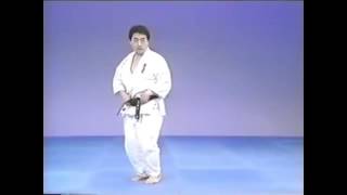 Ushiro Geri [upl. by Asuncion]