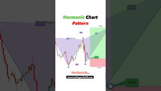 Harmonic Chart Pattern  forex trading for beginners  crypto  option trading shorts tradingmafia [upl. by Hessney539]