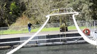 Kalama Falls Live Fish Transport Study [upl. by Neelahs]