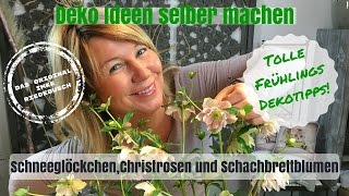 DIYDeko Ideen zum selber machen  kreative Christrosen Schneeglöckchen und Schachbrettblumen [upl. by Kally]