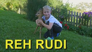 Reh 💖 RUDI [upl. by Adalheid]