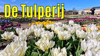 De Tulperij april 2024 part 1 [upl. by Ekaterina]