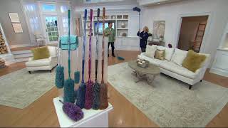 6Piece EasyReach Microfiber Duster Set by Campanelli on QVC [upl. by Ahsino]