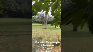 For sale dlf chattarpur farmhouse dlfchattarpur forsale [upl. by Yllen]