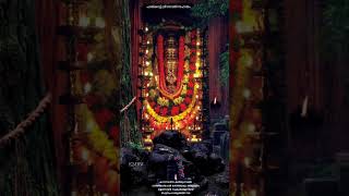 Kavassery Sree Parakkattu Bagavathi Kavassery Pooram കാവശ്ശേരി ശ്രീ പരക്കാട്ട് ഭഗവതി കാവശ്ശേരി പൂരം [upl. by Reames]