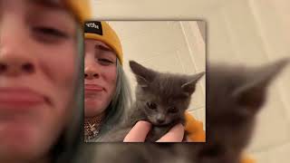 tv – billie eilish sped up [upl. by Brottman989]