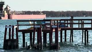 Tug Clyde S VanekevortBarge Erie Trader 11324 [upl. by Mowbray]