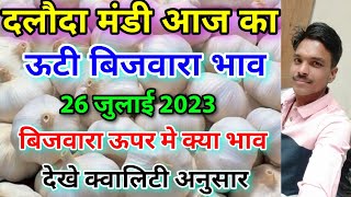 दलौदा मंडी ऊटी बिजवारा लहसुन भाव 26 जुलाई 2023 ooty biju garlic rate ooty bijvara ka bhav daloda [upl. by Slorac158]