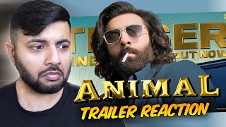 Pakistani Reacts to ANIMAL TRAILER  RANBIR KAPOOR [upl. by Pickford]