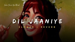 Dil Jaaniye  Jubin Nautiyal Song  Slowed And Reverb Lofi Mix [upl. by Torhert971]