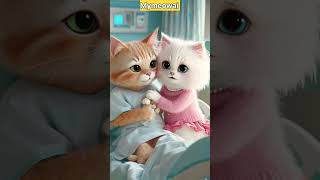 Kitty s love got hospitalized ✨catlover cats kitty catshorts catlovers [upl. by Zitvaa38]