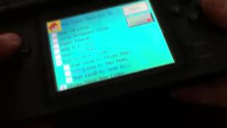 How to put cheat codes onto your R4 for DS [upl. by Neellek503]