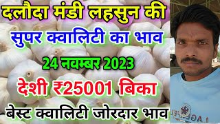 दलौदा मंडी लहसुन की सुपर क्वालिटी का भाव 24 नवम्बर 2023 best garlic rate today aaj ka lahsun bhav [upl. by Itida]