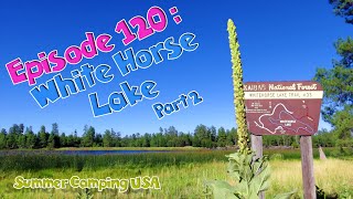 Episode 120 Car Camping at White Horse Lake Arizona Part 2 [upl. by Merari]