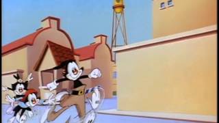 Animaniacs  S01E114 [upl. by Ratcliffe714]