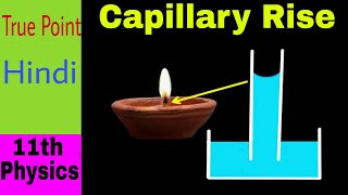 🔴 Capillary Rise  Surface Tension  in Hindi [upl. by Methuselah]