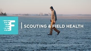 Climate FieldView™ for Planning Effortless Field Scouting [upl. by Anilev]