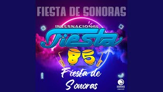 Fiesta De Sonoras [upl. by Binah]