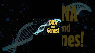 DNA and Genes The Blueprint of Life Explained [upl. by Neersin]