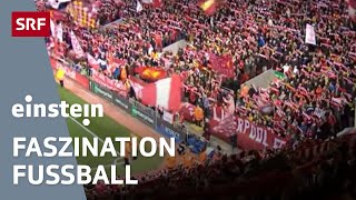 Fussballfieber – warum Goals Fankurven und Steilpässe faszinieren  Einstein  SRF Wissen [upl. by Vaughn518]