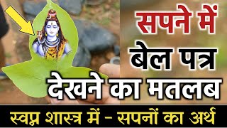 सपने में बेलपत्र देखने का मतलब Bel Patra Dream Shiv Parvati Dream Analysis Meaning Swapna Shastra [upl. by Placeeda289]