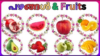 പഴങ്ങളുടെ പേരുകൾFruits names in Malayalam and English [upl. by Casie]