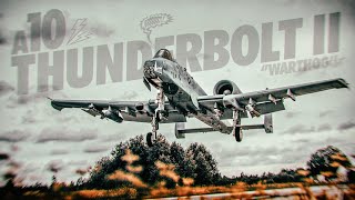 A10 Thunderbolt II in Action [upl. by Ahcas]