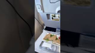 Aegean Business Class Flight between Athens and Thessaloniki A320Neo [upl. by Victoir]