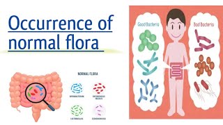 Occurrence of normal flora [upl. by Bolt]