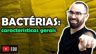 Bactérias características gerais  Aula 4  Módulo IV Microbiologia Fungos e Protistas  Prof Gui [upl. by Gallenz]