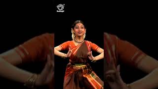 Learn Bharatanatyam  Basic Steps For Beginners  Srekala Bharath [upl. by Llehsam]